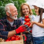 The Evolving Realities Around Succession in Family Businesses